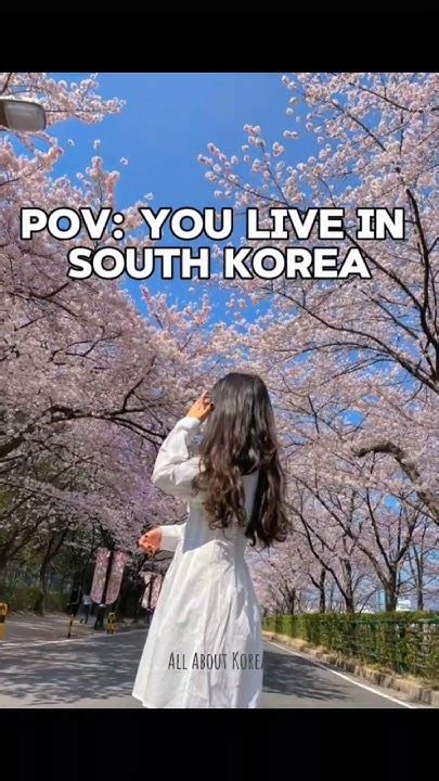 Povyou Live In Korea🇰🇷btsarmykdramakpopfoodseoulblackpinkkoreanoutfitsytshorttrending