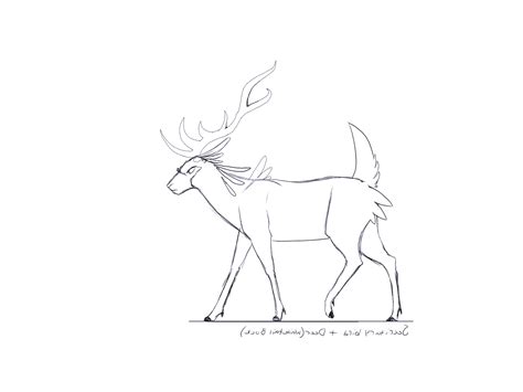 Dribbble Deerwalk  By Katie K Davis