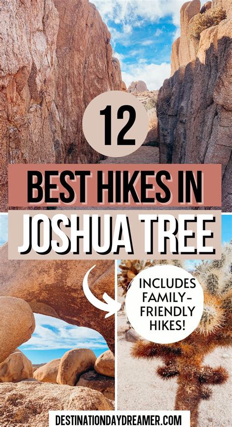 12 Best Hikes In Joshua Tree National Park In California Joshua Tree