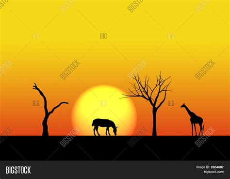 Safari Illustration Image & Photo (Free Trial) | Bigstock