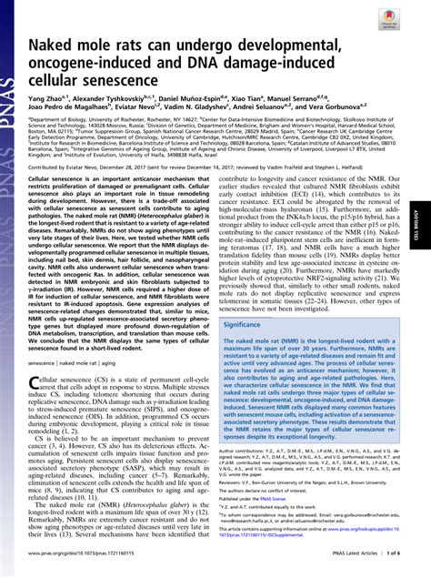 PDF Naked Mole Rats Can Undergo Developmental Oncogene Induced And DNA Damage Induced