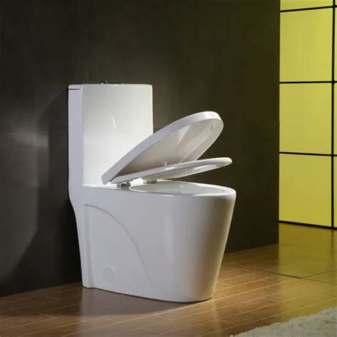 Latest Designer Washroom Sanitary Ware Commercial Usage Dual Flush