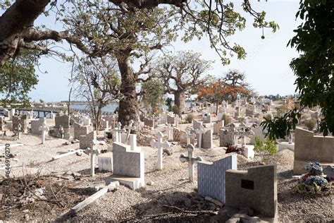 Des Baobabs Dans Le Cimeti Re Aux Coquillages De L Le De Fadiouth Au