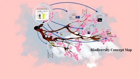 Biodiversity Concept Map by Aaima Cheema