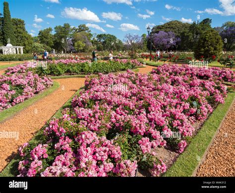 Bosques de Palermo park in Palermo, the rose garden (El Rosedal de ...