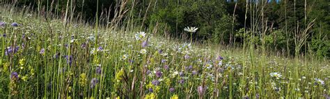 Fachgebiete Moser Naturschutz