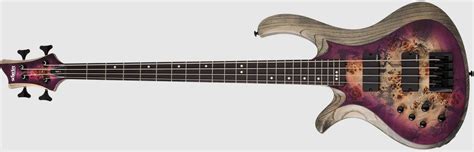 Best Schecter Bass Guitars Guide - Guitar Space