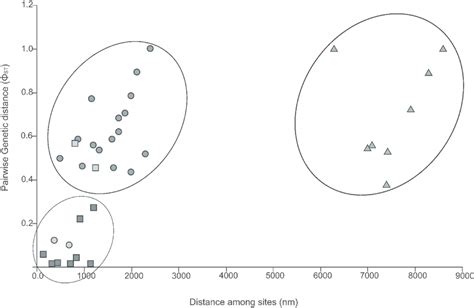 Isolation By Distance Analysis Graphical Representation Of The