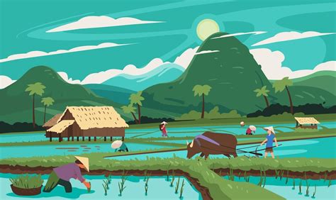 Premium Vector Thailand Rice Terraces Agricultural Sceneries Rice