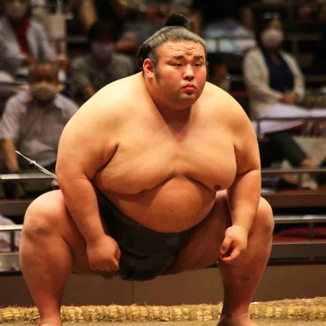24 Answers About Sumo Wrestlers