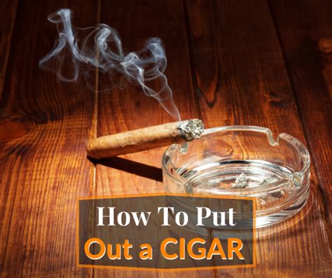 putting   cigar   extinguish smoke  save