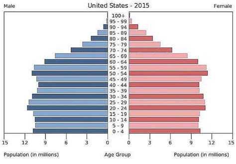 Age Sex Pyramids And Population Pyramids