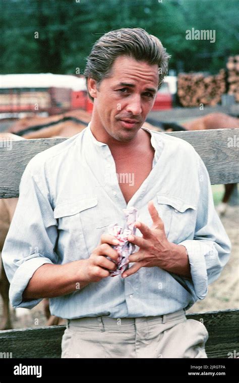 Don Johnson The Long Hot Summer Stock Photo Alamy