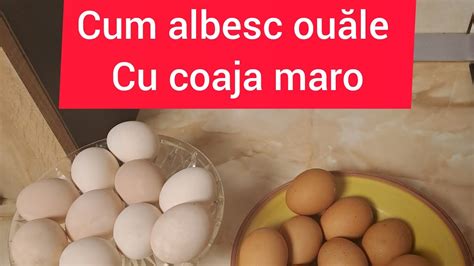 Cum Albesc Ouale Cu Coaja Maro Update Raspund La Intrebarile Voastre