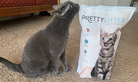 Is Your Cat Healthy? Pretty Litter Let's You Know | LATF USA