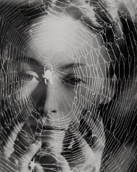 Spider Fawn Library C L O Surrealist Photographers Dora Maar