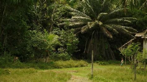 Fuck For Forest Trailer YouTube