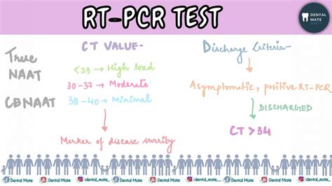 Rt Pcr Test Ct Value Gold Standard For Covid Naat Cb Naat