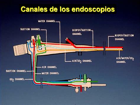 PPT Cómo realizar los controles microbiológicos de los endoscopios