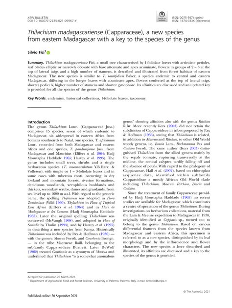 PDF Thilachium Madagascariense Capparaceae A New Species From