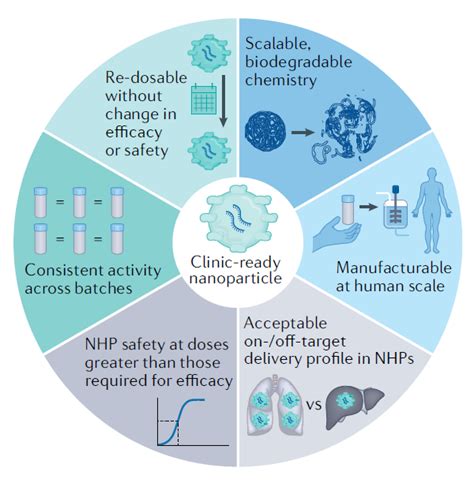 Nature系列综述RNA疗法的递送系统及其成功的六大特征 递送 RNA 系统 纳米 颗粒 健康界