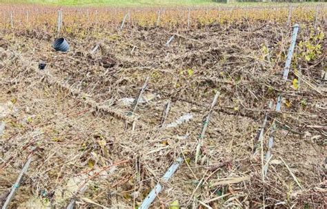 Nella Toscana Che Fa La Conta Dei Danni Del Meteo La Testimonianza