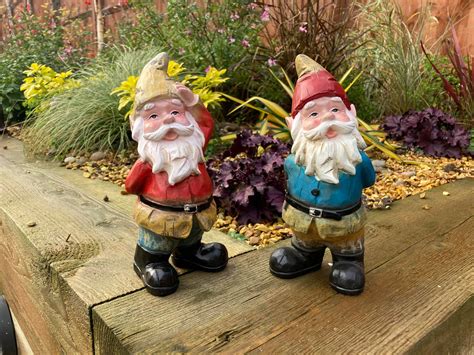 Naughty Gnomes Backyard Bliss