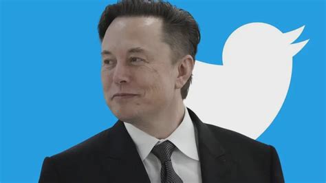 Elon Musk Despedir A La Mitad De Los Empleados De Twitter