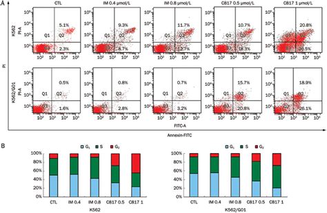 Effect Of C On Induction Of Apoptosis And Cell Cycle Arrest In