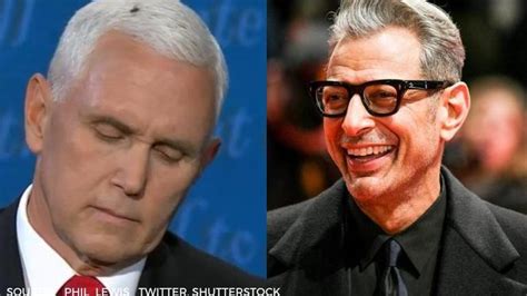 Mike Pence's housefly moment has netizens demanding a Jeff Goldblum SNL ...