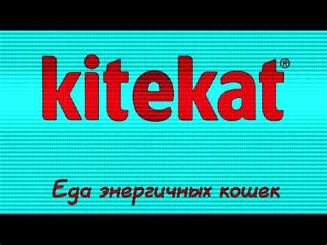 Аdvertising Реклама Китикет Kitekat Борис поймал пчелу In For Drums ...