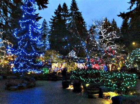 Capilano Suspension Bridge.