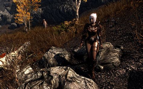 Companions Skyrim General Discussion Loverslab