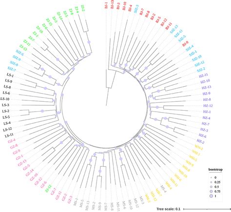 Frontiers Genome Wide SNPs Reveal Novel Patterns Of Spatial Genetic