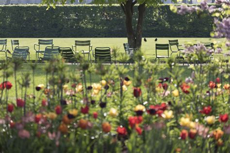 TUILERIES GARDEN PART 2 – SPRING AND SUMMER — Parisian Moments