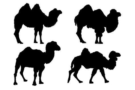 Bactrian Camel Svg Graphic Design Graphic By Chinc1931 · Creative Fabrica