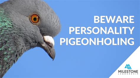 Beware Personality Pigeonholing - Milestone Leadership