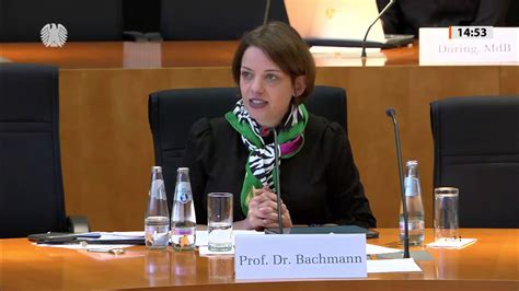 Professor Bachmann Als Sachverst Ndige Im Rechtsausschuss Des Deutschen