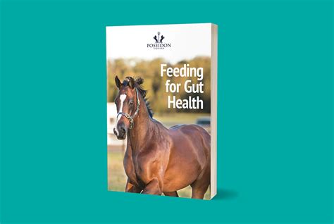 Feeding Your Horse For Gut Health Poseidon Animal Health Nz