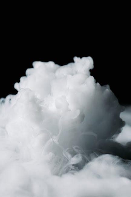 Mr Vapor Dual Battery Instructions
