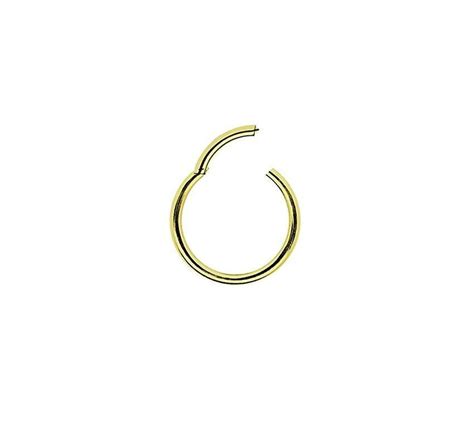 Piercing Argola Segmento Articulado em Aço PVD Gold Eu Curto Acessórios