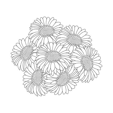 Gerber Daisy Coloring Pages