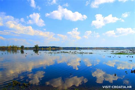 Park Prirode Lonjsko Polje Hrvatska Visit Croatia