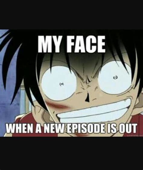 one piece memes | Anime Amino