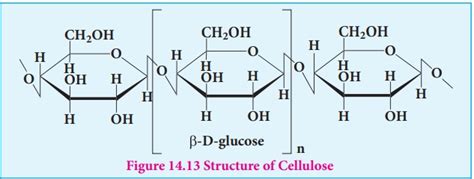 Polysaccharides Biomolecules Chemistry