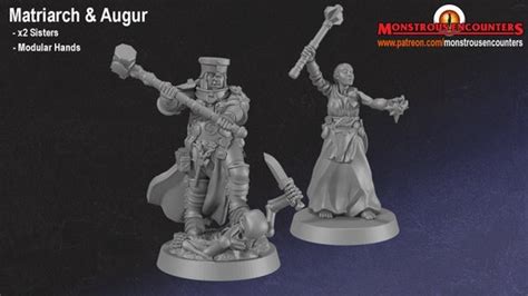 Sisters Of Sigmar Matriarch And Augur 28mm 32mm Human Cleric Etsy