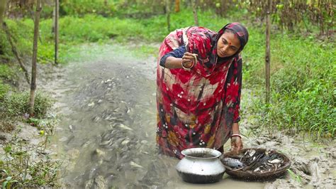 শীতের দিনে বৃষ্টিতে ভিজে ভিজে ছোট মাছ ধরে দারুন মজা করলামগ্রামীণ জীবন