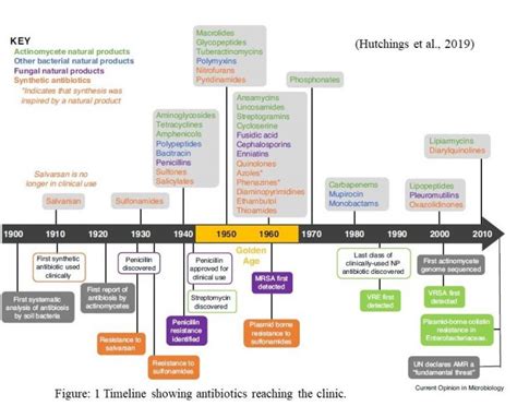 The Timeline Of Antibiotics Mdis Blog