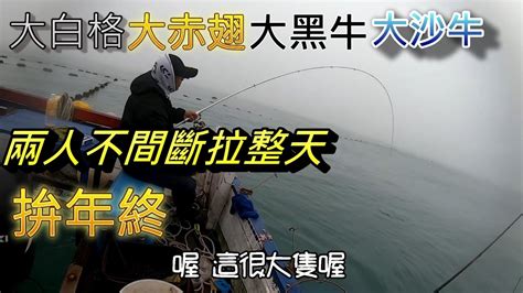 再次來去定置漁網 沒想到咬整天都沒休息 我跟施泰泰兩人不間斷一直拉 拚年終獎金了 Youtube