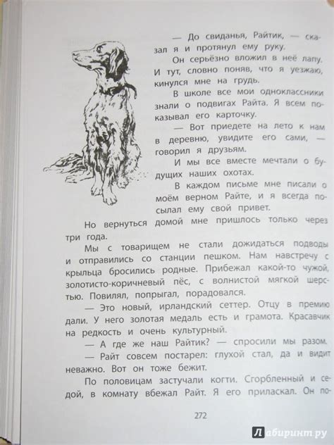 Книга: Ребята и зверята - Ольга Перовская. Купить книгу, читать ...
